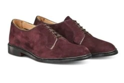 Robert Derby Shoe - Barolo Suede 7 Robert Derby Shoe - Barolo Suede -Selected Footwear Stores robert derby shoe barolo suede 261898