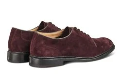 Robert Derby Shoe - Barolo Suede 8 Robert Derby Shoe - Barolo Suede -Selected Footwear Stores robert derby shoe barolo suede 885258